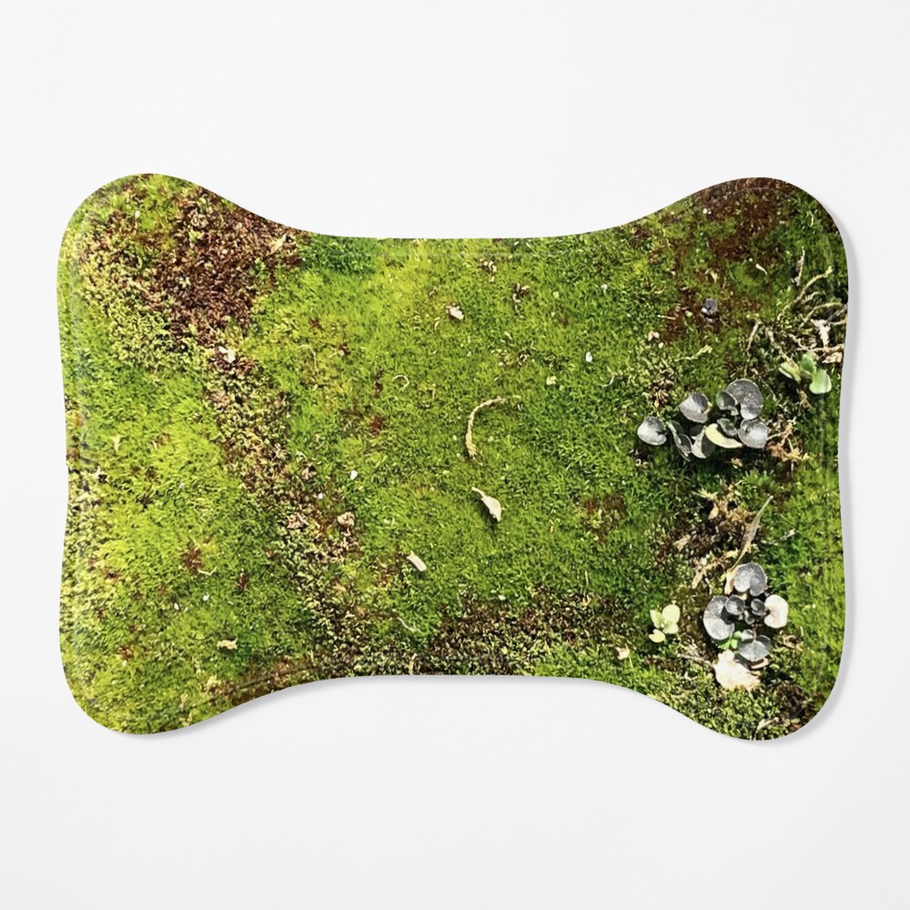 817 Moss Blanket Images, Stock Photos, 3D objects, & Vectors