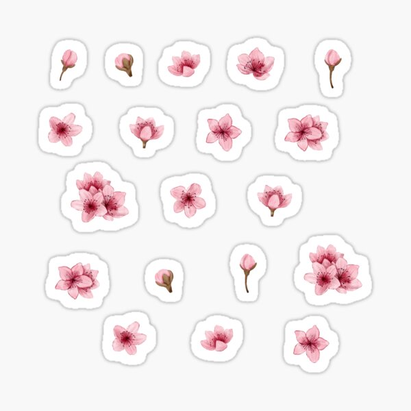 "Sakura Flowers Sticker Pack Cherry Blossom Flowers Set" Sticker for