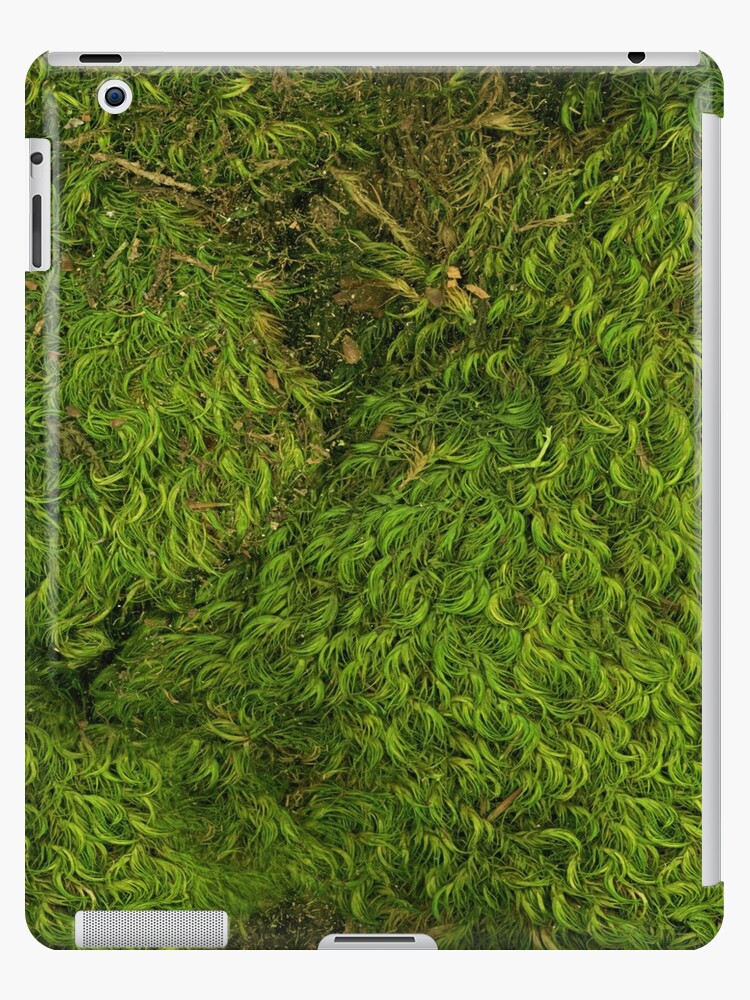 World of Moss III iPad Case & Skin for Sale by BJEdesign