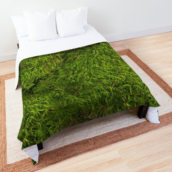  Moss Bedding