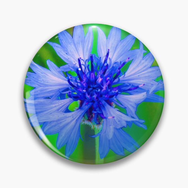 Item preview, Cornflower Close Up designed and sold by Daniel Janda.