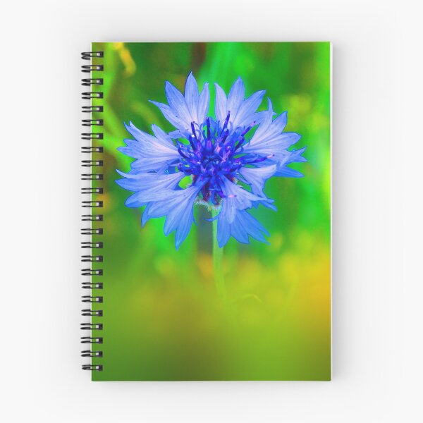 Item preview, Cornflower Close Up designed and sold by Daniel Janda.