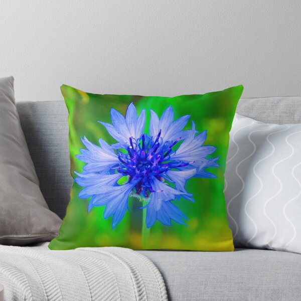 Item preview, Cornflower Close Up designed and sold by Daniel Janda.