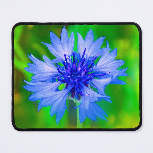 Item preview, Cornflower Close Up designed and sold by Daniel Janda.