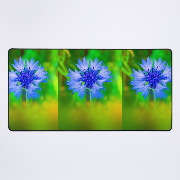 Item preview, Cornflower Close Up designed and sold by Daniel Janda.