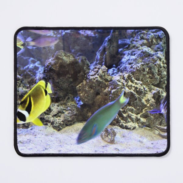 Item preview, Fish tank designed and sold by lucey05.