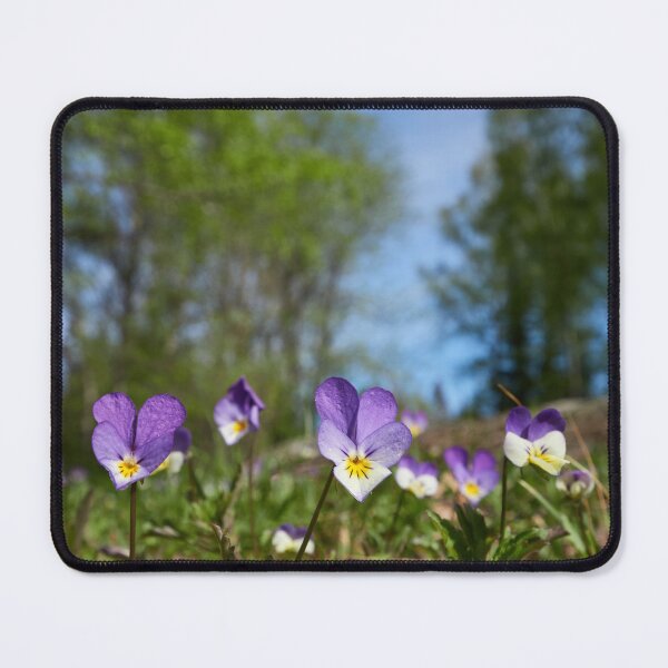 Item preview, Heartsease wide vertical designed and sold by Jouko Lehto Photography.