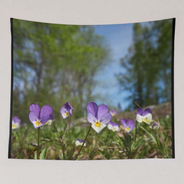 Item preview, Heartsease wide vertical designed and sold by Jouko Lehto Photography.