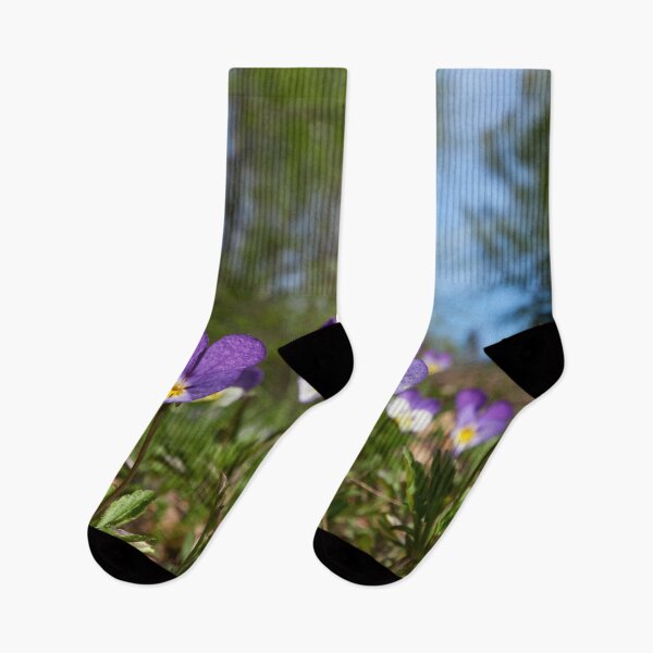 Item preview, Heartsease wide vertical designed and sold by Jouko Lehto Photography.