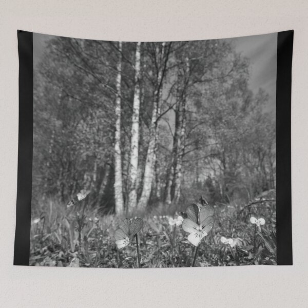 Item preview, Heartsease forest vertical bw designed and sold by Jouko Lehto Photography.