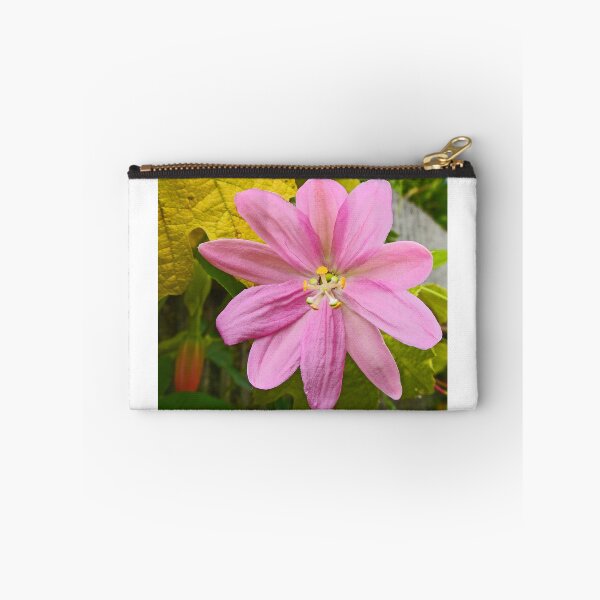 Item preview, Passiflora tarminiana designed and sold by Graeme  Hyde.