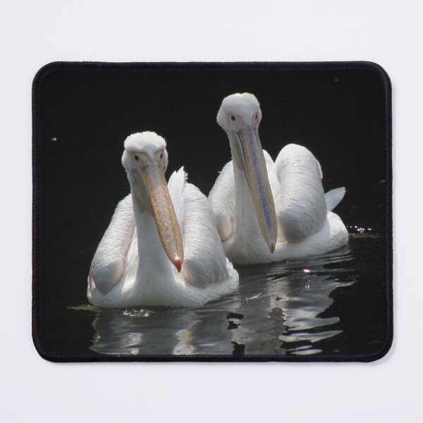 Item preview, Pair of Pelicans Photograph designed and sold by naturegallery.