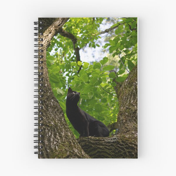 Item preview, Cat in tree: digital photograph designed and sold by Brokeartisttt.