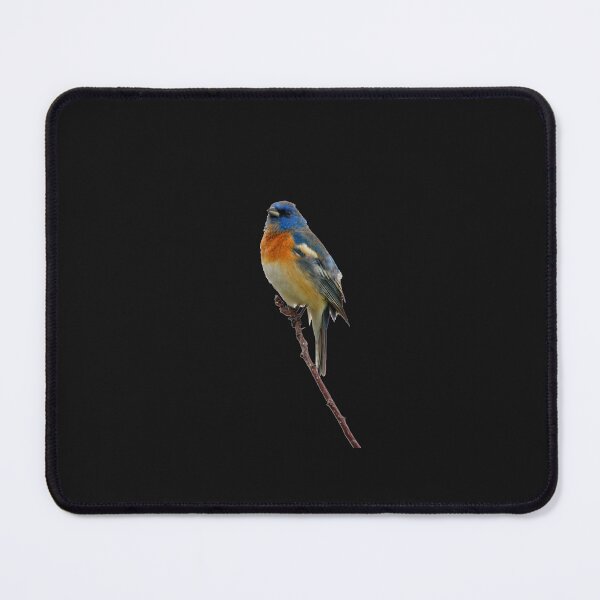 Item preview, Lazuli Bunting designed and sold by Whisperingpeaks.