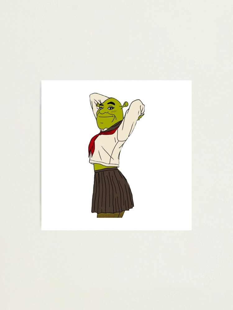 Shrek Meme Photographic Prints for Sale