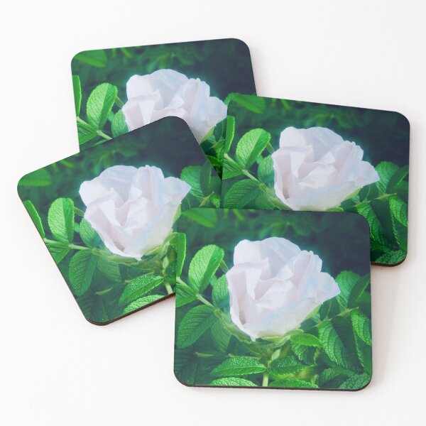 Item preview, White rose bud designed and sold by Shulie1.