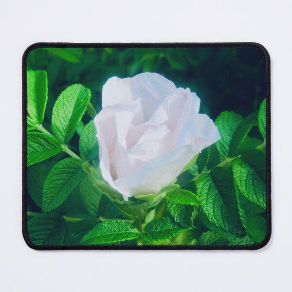 Item preview, White rose bud designed and sold by Shulie1.