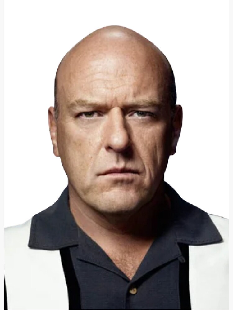 Hank Schrader from breaking bad calls walter white a sussy baka