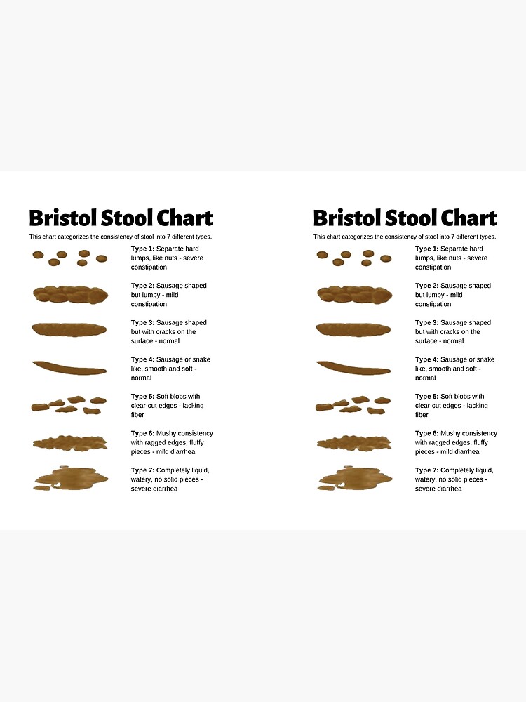 Bristol Stool Chart for identifying bowel movement consistency Hardcover  Journal for Sale by Caregiverology