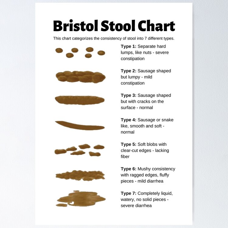 Bristol Stool Chart for identifying bowel movement consistency | Journal