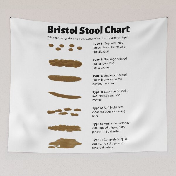 Item preview, Bristol Stool Chart for identifying bowel movement consistency designed and sold by Caregiverology.