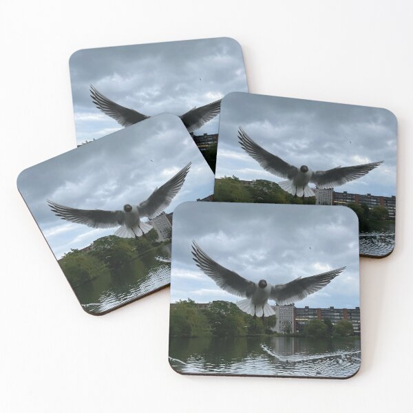 Item preview, Hooded gull • Wings • 2022 designed and sold by Mortinus.