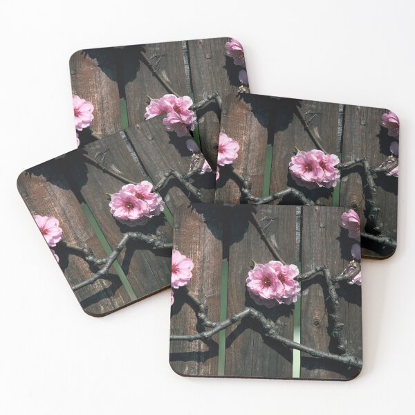Item preview, Cherry Blossoms Fence designed and sold by Jeffrey Mask.