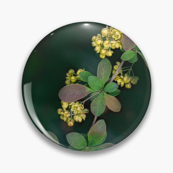 Item preview, Japanese Barberry in Spring designed and sold by Gerda Grice Photography.