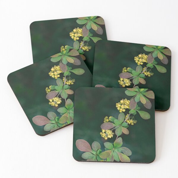 Item preview, Japanese Barberry in Spring designed and sold by Gerda Grice Photography.