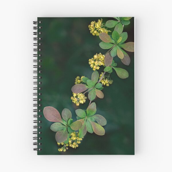 Item preview, Japanese Barberry in Spring designed and sold by Gerda Grice Photography.