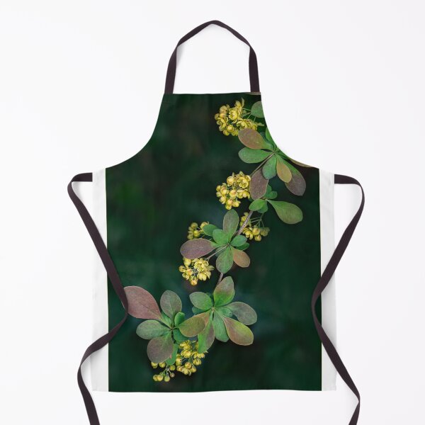 Item preview, Japanese Barberry in Spring designed and sold by Gerda Grice Photography.