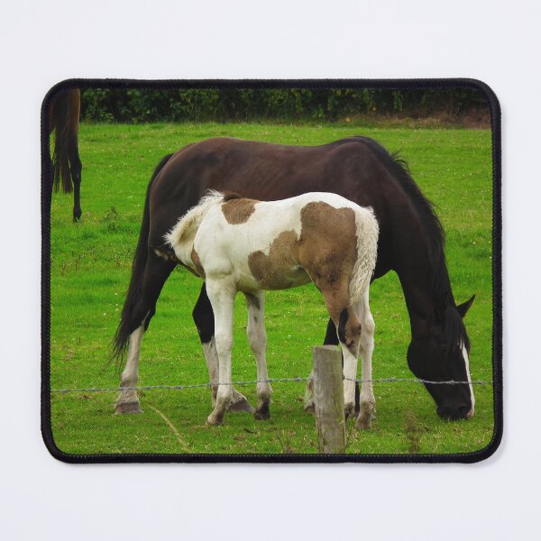 Item preview, Mammy! Will ya Stand Still. designed and sold by Marco-Eye-View.