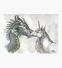 Dragon and Unicorn Photographic Print