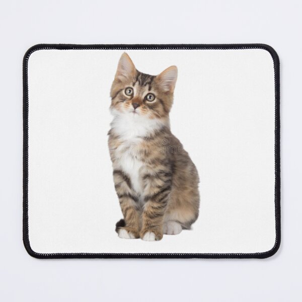 Item preview, house cat designed and sold by Yacfri.