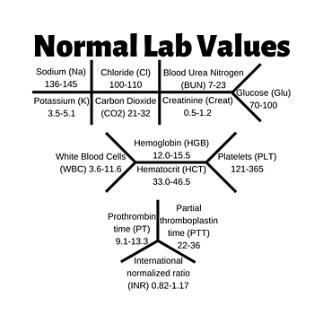 Artwork thumbnail, Normal Lab Values Ranges Mini Chart by Caregiverology