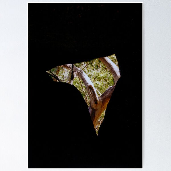 Item preview, Natures Window designed and sold by Leanne Robson.