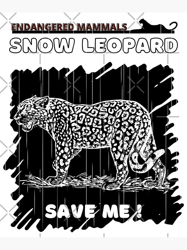 "Snow Leopard" Poster for Sale by yassooarts | Redbubble
