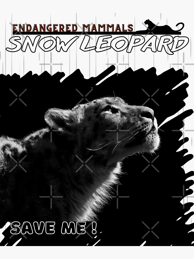 " Snow Leopard" Sticker for Sale by yassooarts | Redbubble
