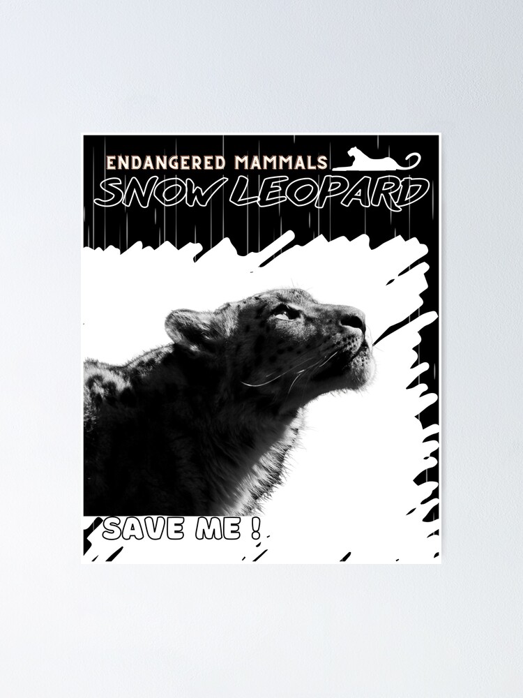 " Snow Leopard" Poster for Sale by yassooarts | Redbubble