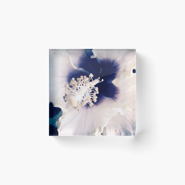 Item preview, aesthetic blue white purple flower dainty vintage photography dazecore ethereal designed and sold by sielexis.