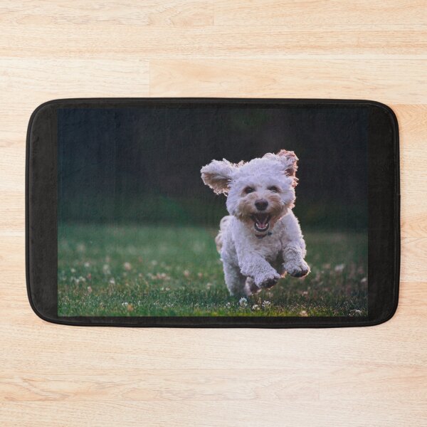 Item preview, Bright  and Fluffy mini cockapoo puppy having its time at the park designed and sold by BHAVANI REDDY.