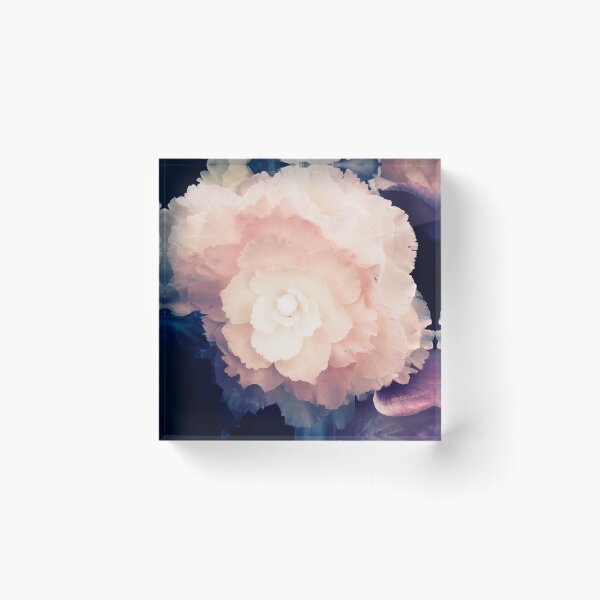 Item preview, vintage aesthetic blue pink yellow floral photography ethereal designed and sold by sielexis.