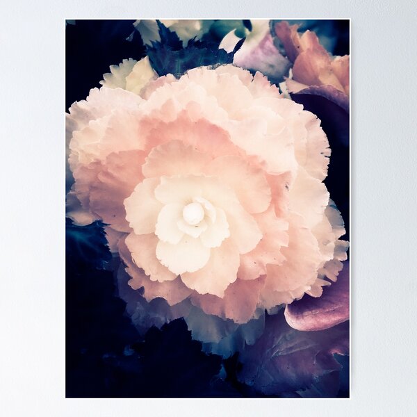 Item preview, vintage aesthetic blue pink yellow floral photography ethereal designed and sold by sielexis.