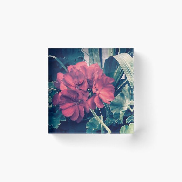 Item preview, aesthetic ethereal vintage photography of red flower green leaves designed and sold by sielexis.