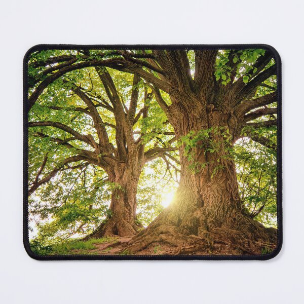 Item preview, Forest pattern  designed and sold by PaulGoldStore.