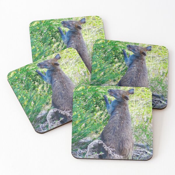 Item preview, Swamp Wallaby Feeding! designed and sold by Mickangelhere.