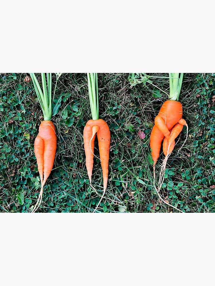 Zippered Pouch - Carrot