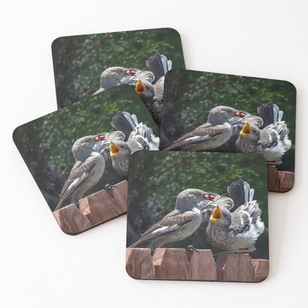 Item preview, Mockingbird Feeding Fledgling designed and sold by CarolM.