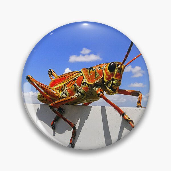 Item preview, Eastern Lubber Up High designed and sold by Jeffrey Mask.