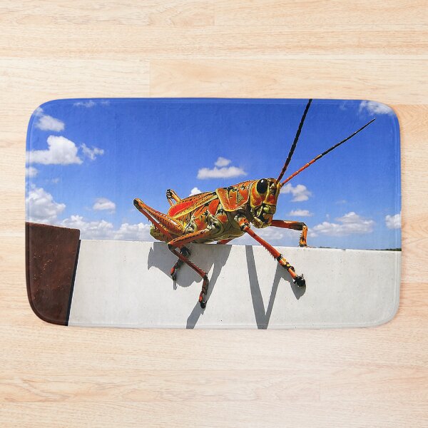Item preview, Eastern Lubber Up High designed and sold by Jeffrey Mask.